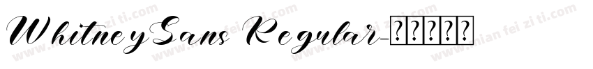 WhitneySans Regular字体转换